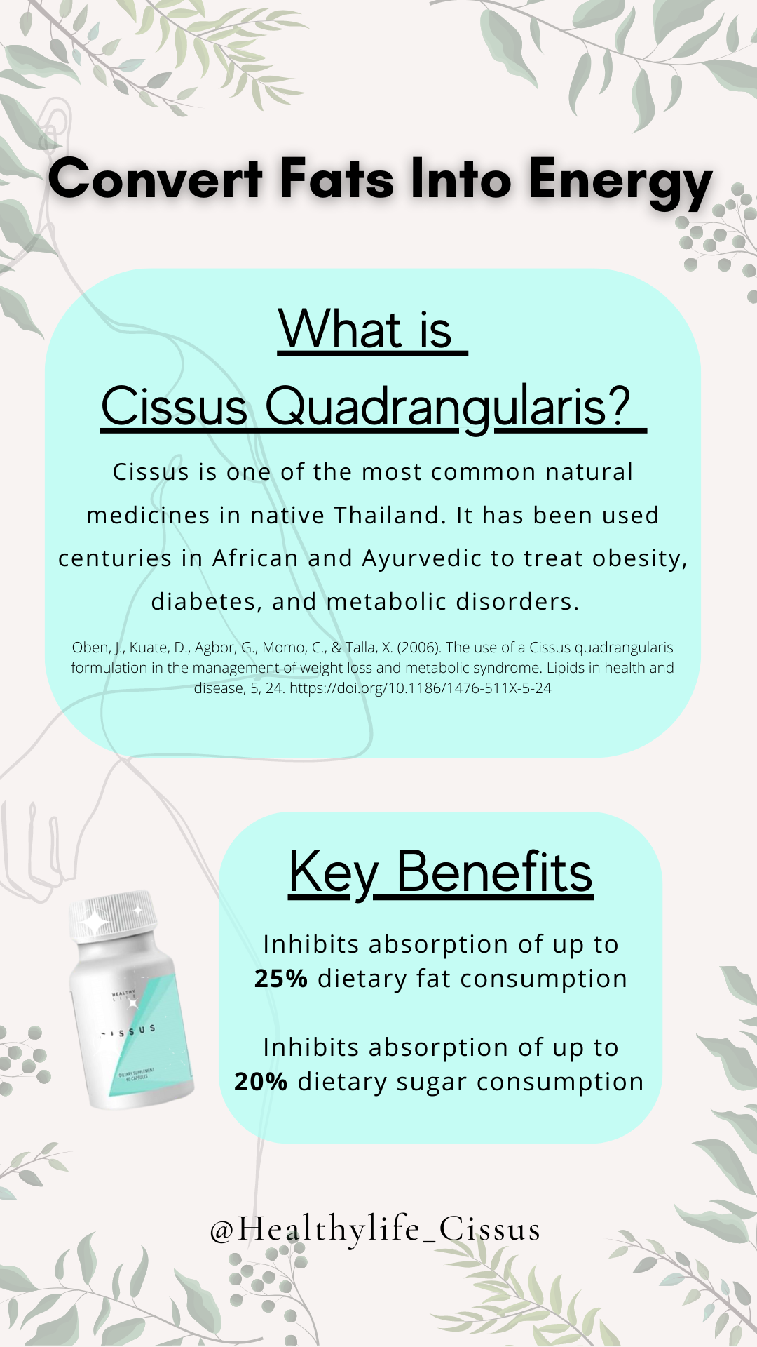 Healthylife Cissus